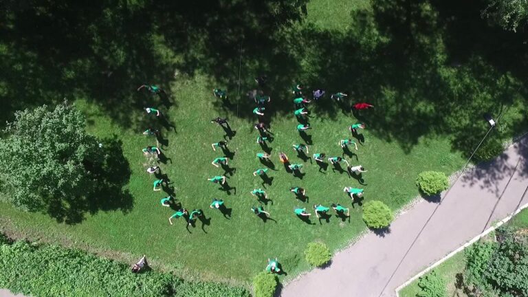 International Business University