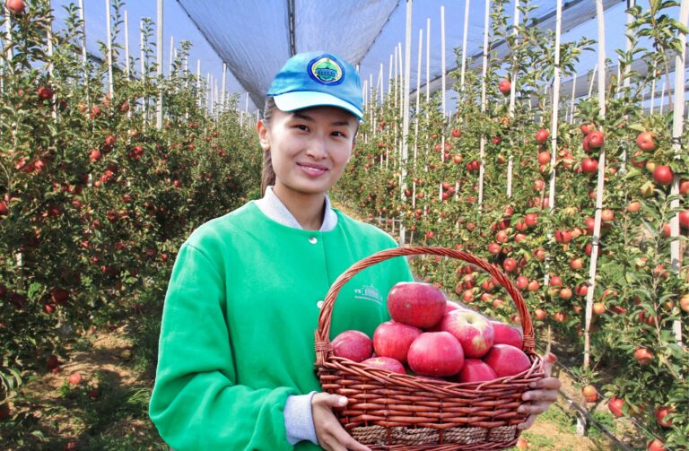 Kazakh National Agrarian Research University